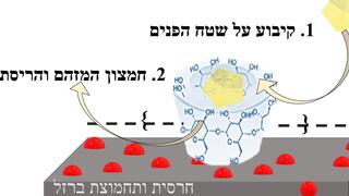 איור: אופן פעולת המערכת. 1. הרחקת המזהמים מהמים וקיבועם על שטח הפנים של השילוב פולימר-חרסית. 2. חמצון המזהמים ליצירת חומרים לא רעילים (מים, חמצן דו-פחמני ויוני פלואור) 3. המצע מתרענן, ובסוף תהליך החמצון אפשר להתחיל סבב סילוק ופירוק חדש