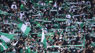 אוהדי מכבי חיפה