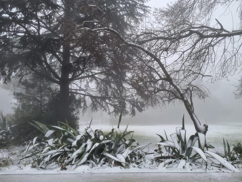 שלג בבקתות כפר הנפש עין זיוון