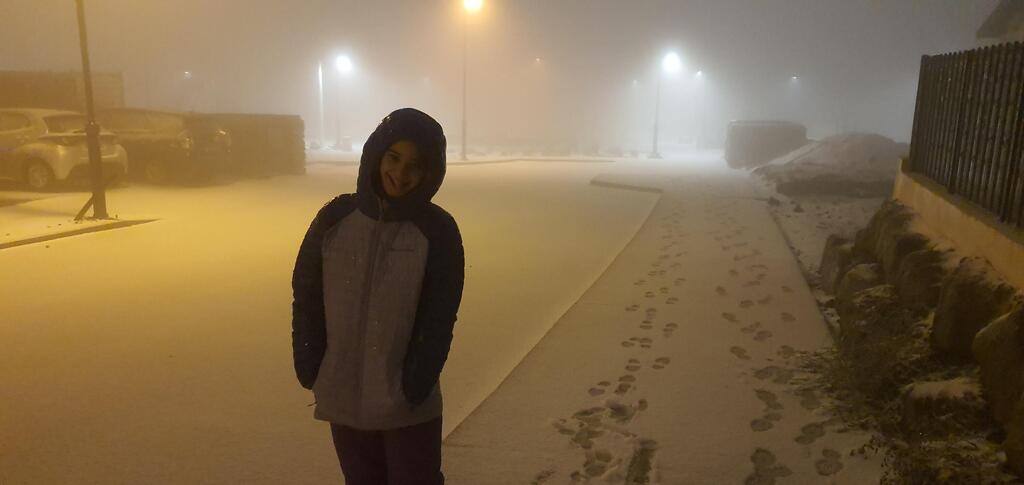 Снег на Голанах (Фото: Эльад Гуэта) שלג באלוני הבשן