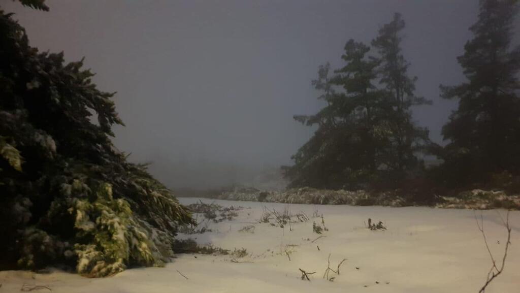 Снег у кибуца Эльром (Фото: Моти Фиада) שלג בקיבוץ אלרום