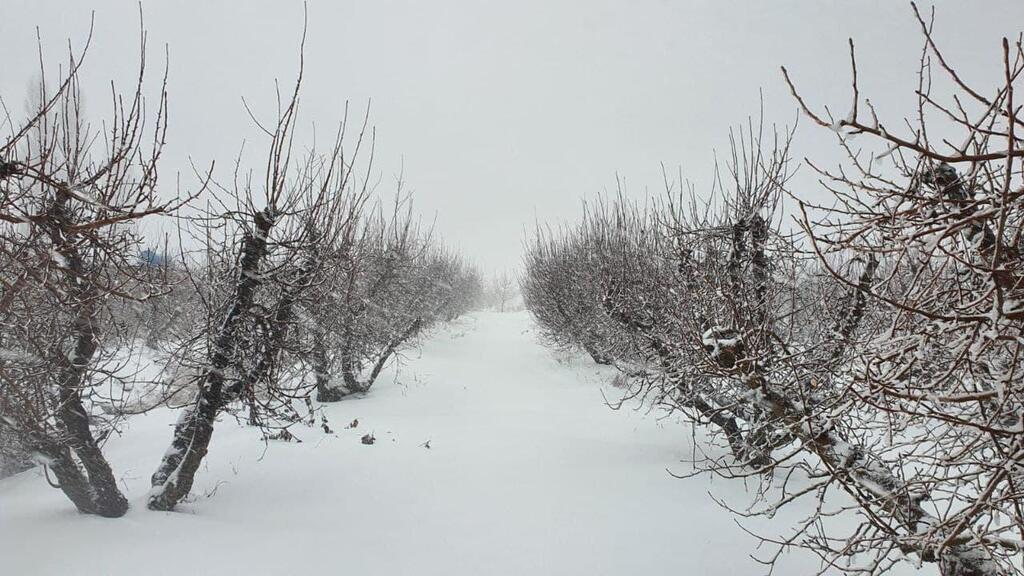 שלג בבוקעתא שבצפון