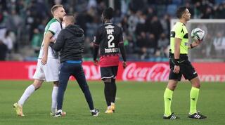 בוגדן פלאניץ' וניב שטייף