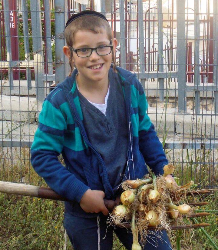 A Haredi boy participates in a Leshomra gardening activity 