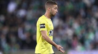 אביאל זרגרי