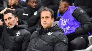 רוני לוי ואריק בנאדו