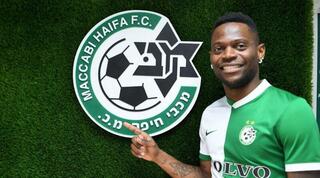 מאוויס צ'יבוטה