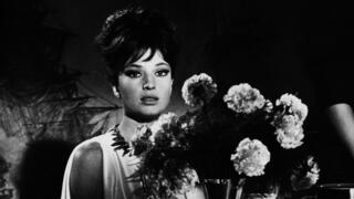 מוניקה ויטי