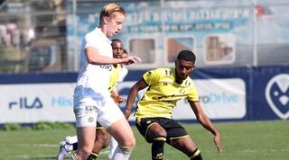 הגאן הרמן עם הכדור