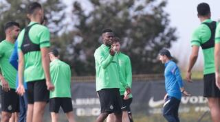 מאוויס צ'יבוטה