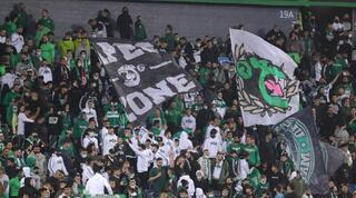 אוהדי מכבי חיפה