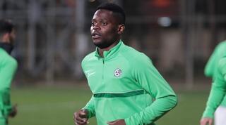 מאוויס צ'יבוטה