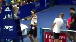 זברב חובט בכסא של השופט