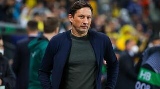 רוג'ר שמידט