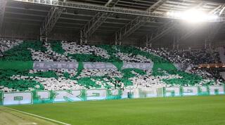 אוהדי מכבי חיפה