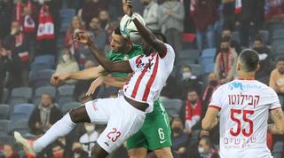 סאקו טורה ונטע לביא