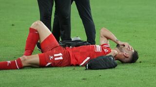 שגיב יחזקאל שרוע על הדשא