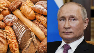 נשיא רוסיה ולדימיר פוטין 