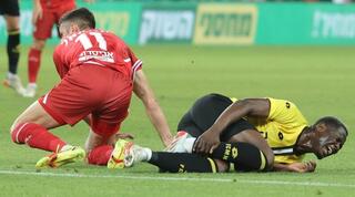 מחקר העבירות המקיף