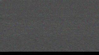 מוחמד אבו פאני