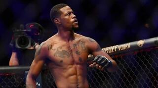 קווין הולנד