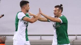 שון גולדברג ודין דוד