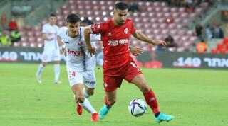 רועי גורדנה