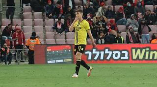 פלאמן גלאבוב יורד מכר הדשא לאחר ההרחקה