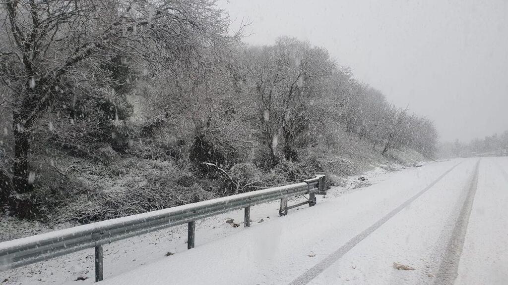 Снег на Голанах (Фото: Амихай Злигер) שלג בבית האריזה בראשית במרום גולן