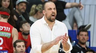 יותם הלפרין