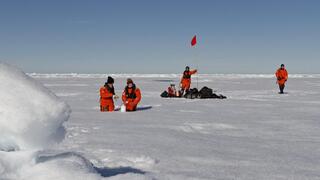דגימות קרח ים ארקטי