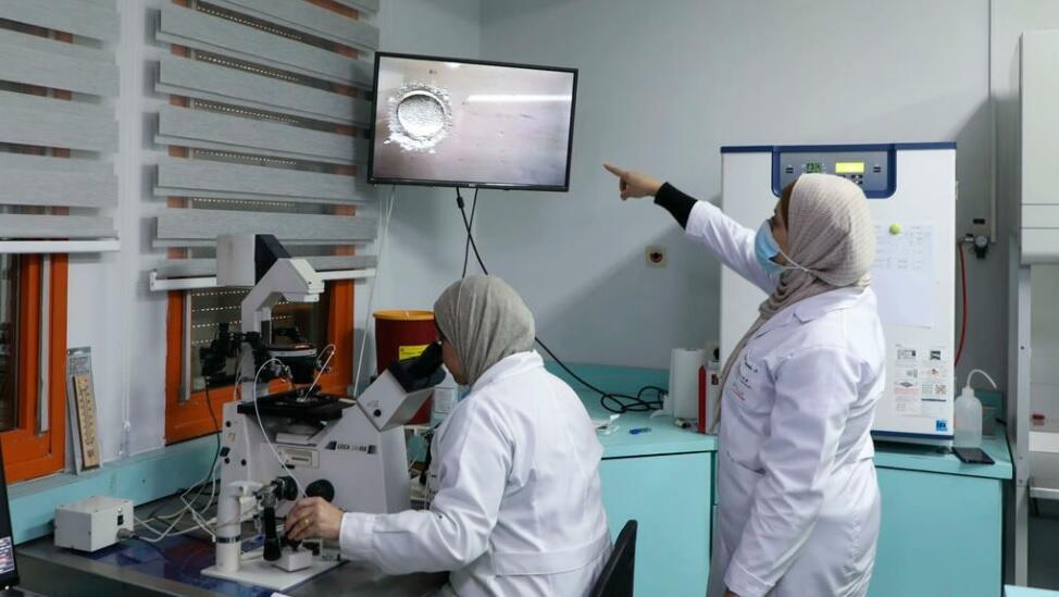 Palestinian doctors and technicians work at the IVF laboratory at the Razan Center fertility clinic in Nablus, in the West Bank 