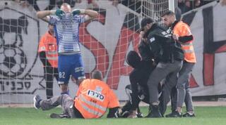 האוהד שפרץ לדשא