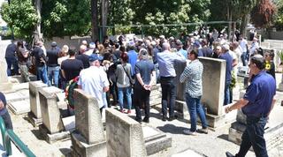 אלכס גלעדי מובא למנוחות