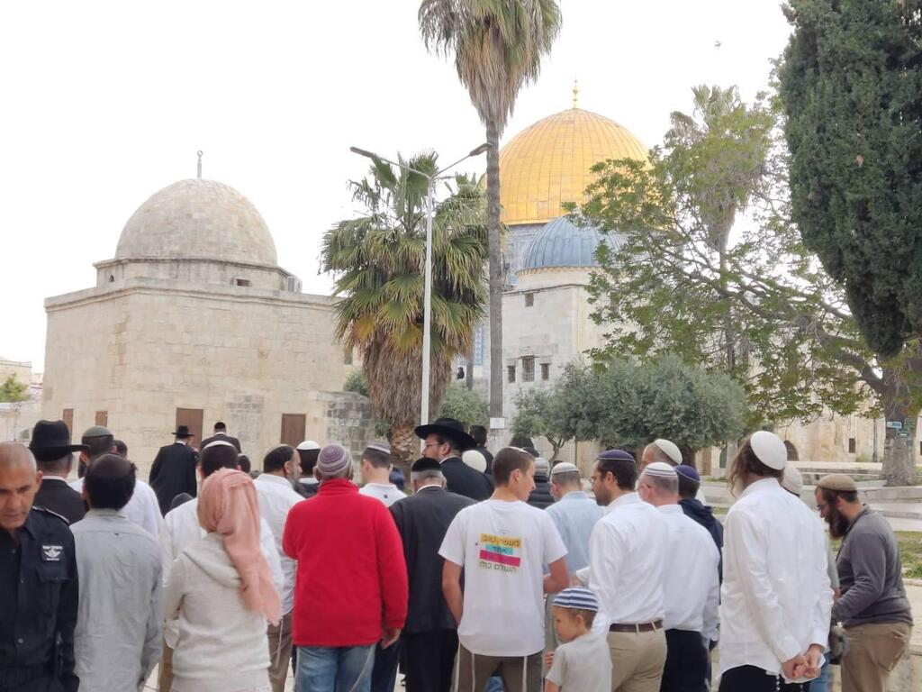 Jews visiting the Temple Mount (Photo: Or Nechemia) עולים להר הבית