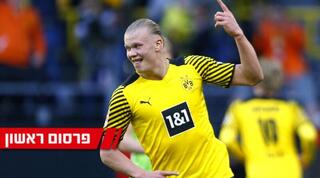 ארלינג הולאנד