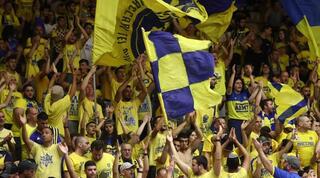 אוהדי מכבי תל אביב