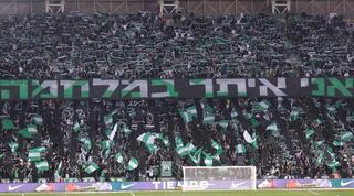 אוהדי מכבי חיפה