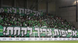 אוהדי מכבי חיפה