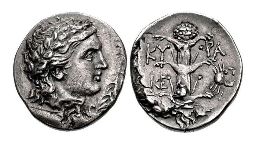 Сильфий на киренской монете סילפיום צמח נכחד על מטבע