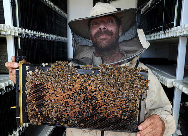 Robot-equipped beehives