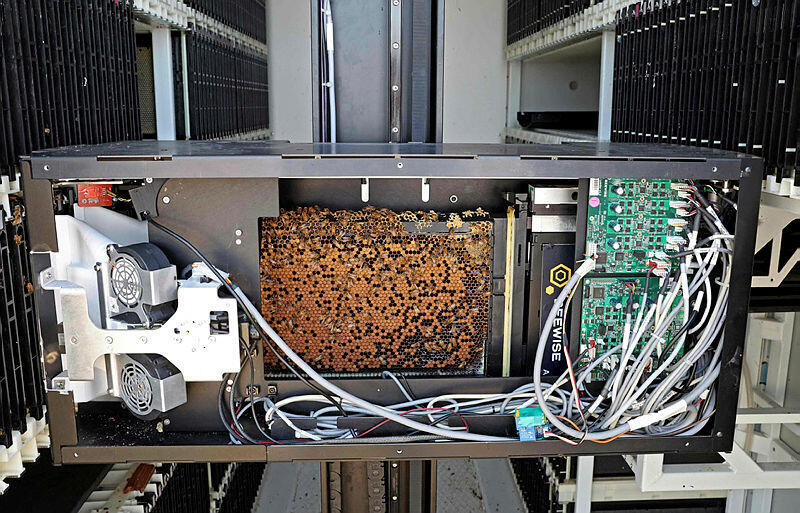Robot-equipped beehives