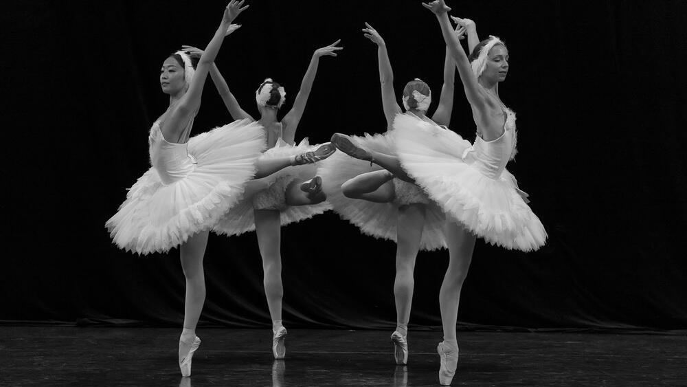 "Белый лебедь" (Фото: Геннадий Ташлицки) "Белый лебедь"