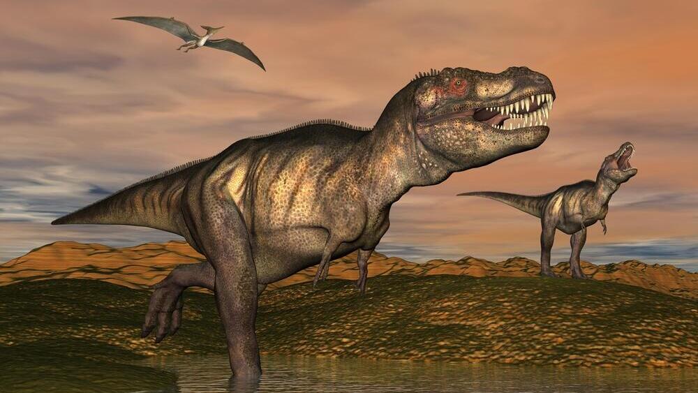 סוגי דינוזאורים שהיו שונים אלה מאלה בסוג הדם שלהם