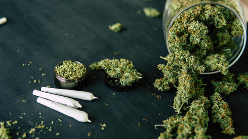 התמכרות התמכרויות קנאביס