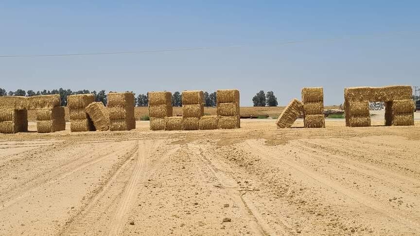 Праздничное поздравление в кибуце Нир-Оз (Фото: пресс-служба кибуцного движения ) חג שבועות בקיבוץ ניר עוז