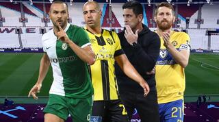 ייני, ברדה, טל בן חיים ובן שהר