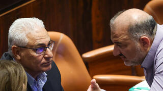 מליאת הכנסת