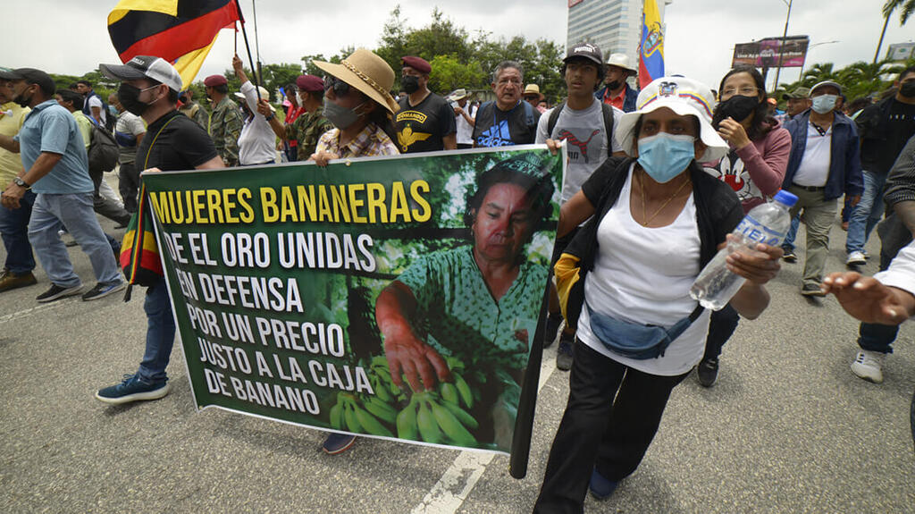 Демонстрация производителей бананов в Эквадоре  
