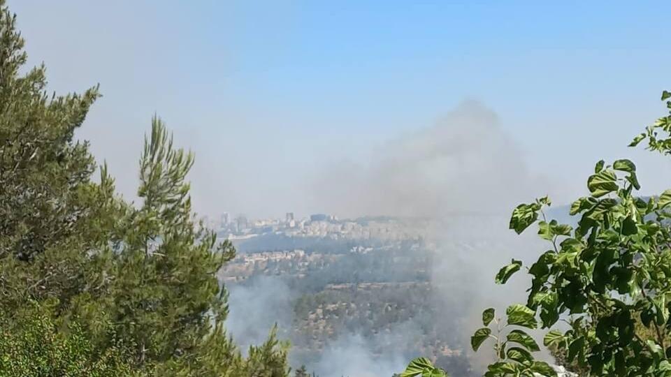 Пожар возле Мевасерет-Циона (Фото: пресс-служба пожарной охраны) תיעוד השריפה בהרי ירושלים